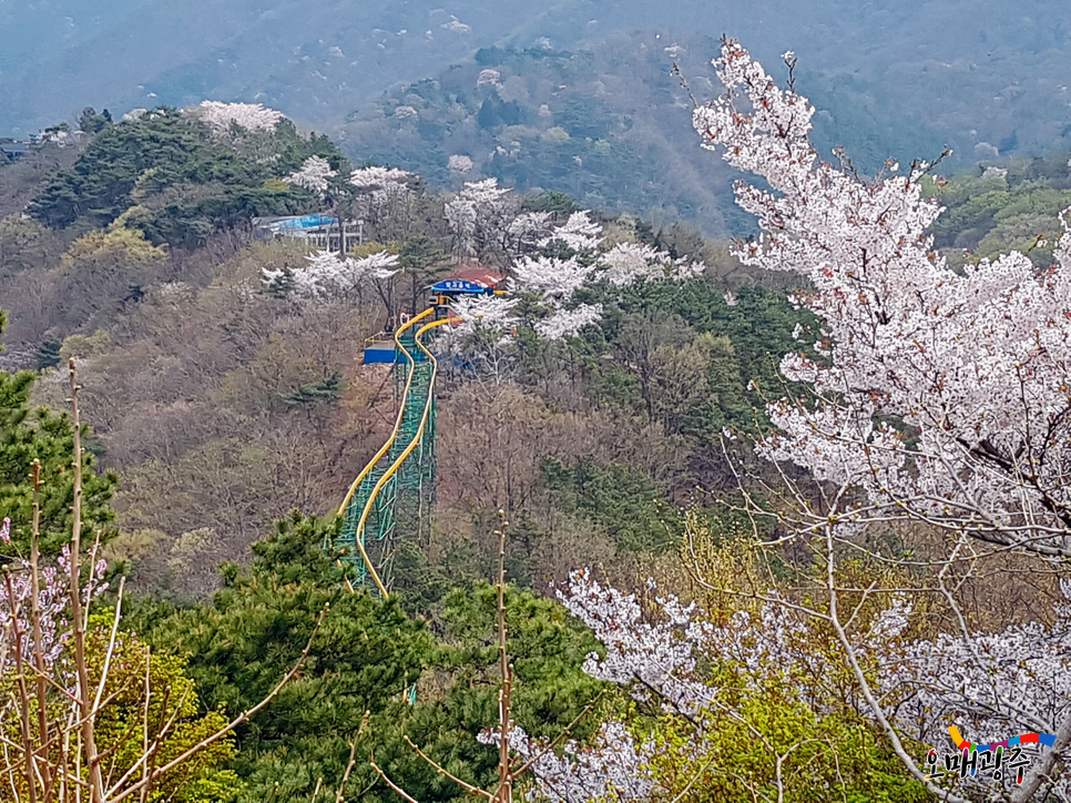 [광주 놀만한곳, 무등산 모노레일] 벚꽃핀 모노레일 타며 무등산 구경해요~
