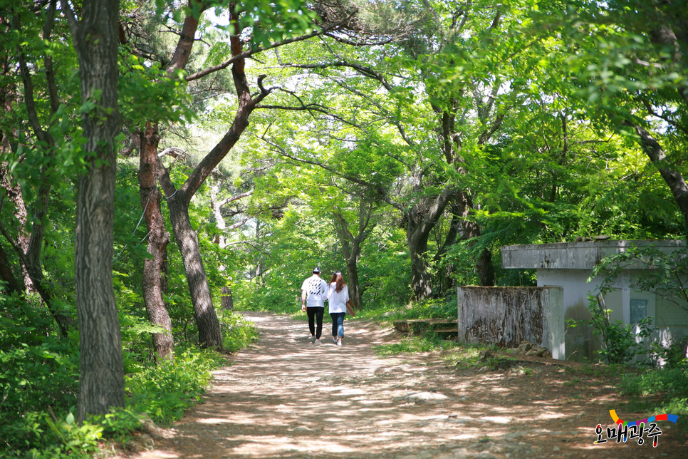 [광주 놀만한곳, 무등산 모노레일] 모노레일 타러 가는 길