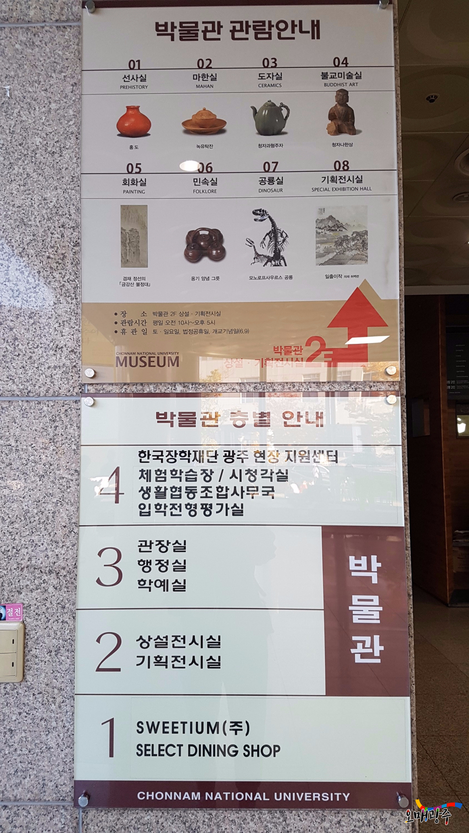 박물관 관람안내.01:선사실(홍도). 02:마한실(녹유탁잔). 03:도자실(청자과형주자). 04:불교미술실(청자나한상). 05:회화실(경재 정선의 금강산 불정대). 06:민속실(옹기 양념 그릇). 07:공룡실(모노로프사우르스 공룡). 08:기회전시실(일출이작). 장소:박물관 2층 상설·기획전시실. 관람시간:평일 오전 10시~오후 5시. 휴관일:토·일요일, 법정공휴일, 개교기념일(6월9일). 박물관 층별안내. 4층:한국장학재단 광주 현장 지원센터, 체험학습장, 시청각실, 생활협동조합사무국, 입학전형평가실. 3층:관장실, 행정실, 학예실, 박물관. 2층:상설전시실, 기획전시실, 박물관. 1층:SWEETIUM(주), SELECT DINING SHOP