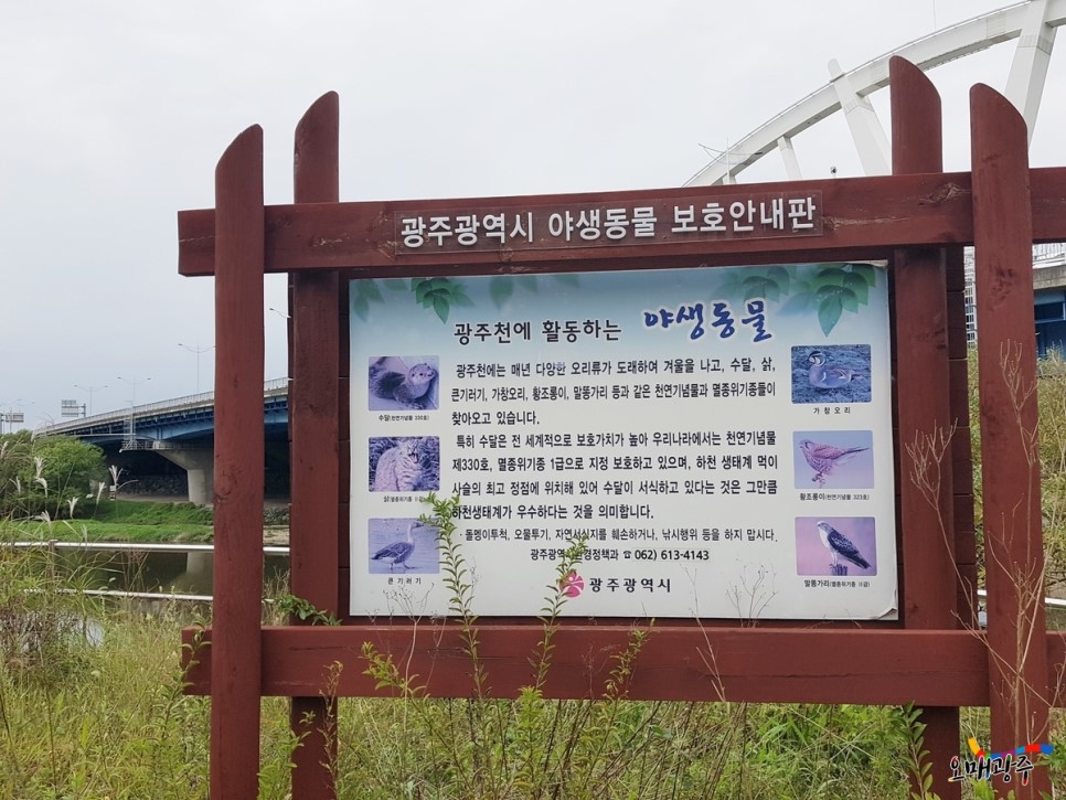 광주광역시 야생동물 보호안내판