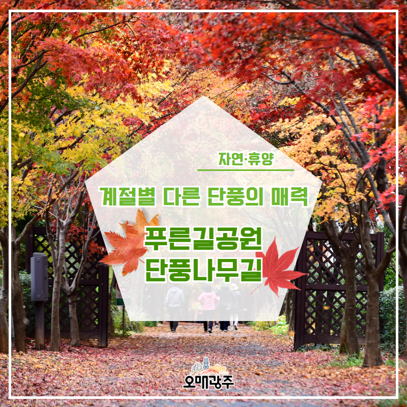 자연·휴양 계절별 다른 단풍의 매력 푸른길공원 단풍나무길. 오매광주