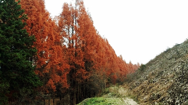Bigoeul Travel Routes 6