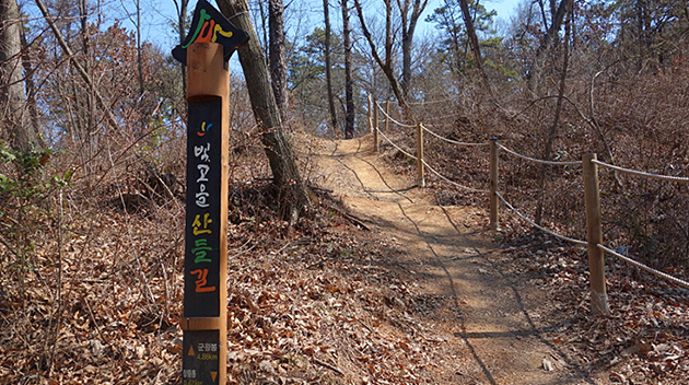 Bigoeul Travel Routes 8