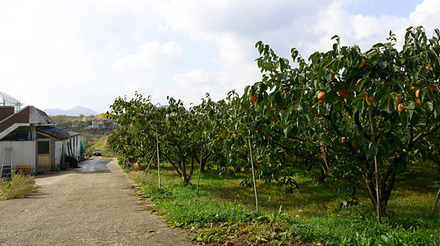Bigoeul Travel Routes 9