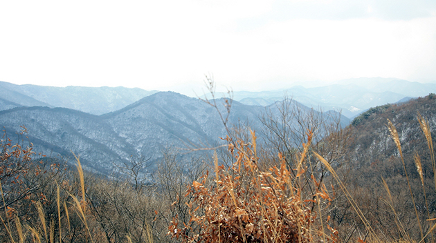 Mt. Mudeung Old Path 2