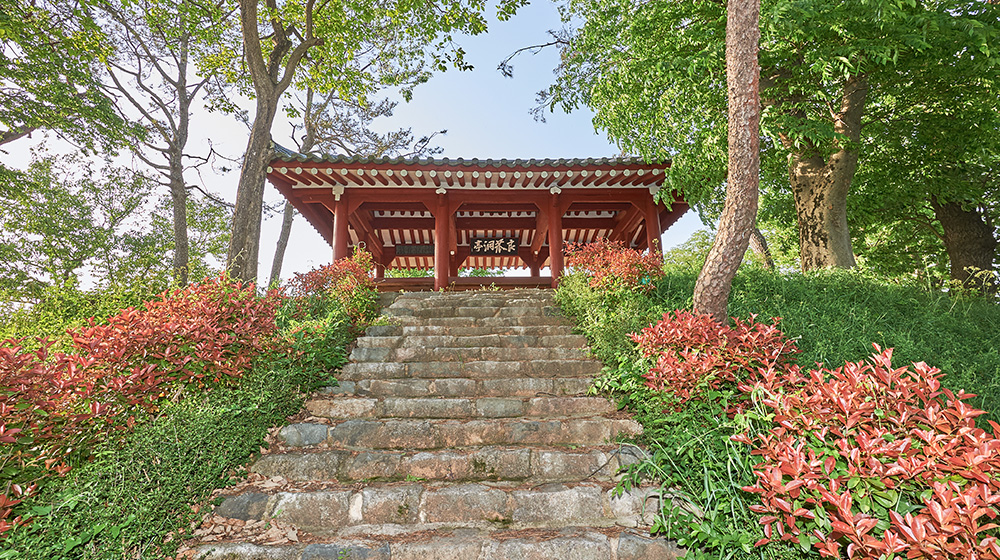양과동정 3
